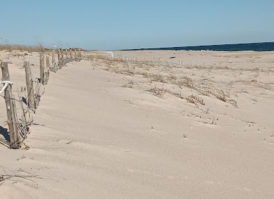 delaware/delaware-seashore-state-park/shop/delaware-seashore-state-park
