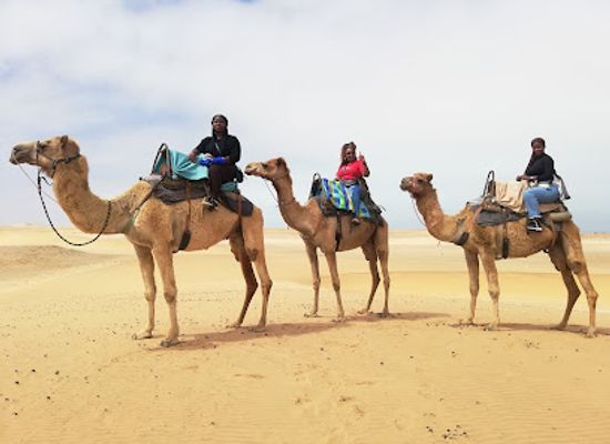 namibia/namib-desert/shop/desert-explorers-adventure-centre