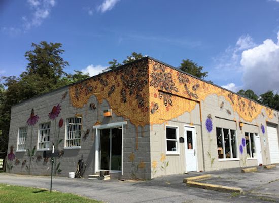 north-carolina/pisgah-national-forest/shop/honey-the-hive