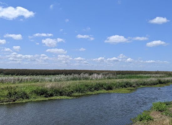 louisiana/southwest-louisiana/shop/cameron-prairie-national-wildlife-refuge