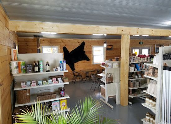 virginia/southwest-virginia/shop/mattie-s-place-and-bike-rental