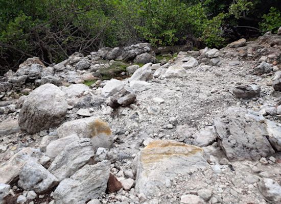dominica/hampstead-beach/shop/cold-soufriere