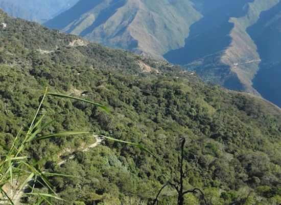 bolivia/yungas-road/shop/santa-clara-del-paraiso