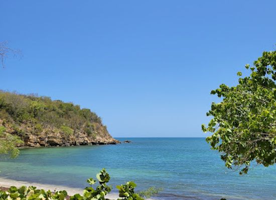 puerto-rico/guanica-dry-forest-reserve/shop/guanica-state-forest