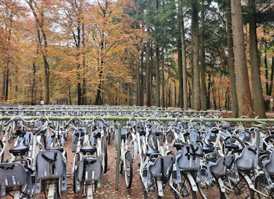 netherlands/veluwe-national-park/shop/ingang-otterlo-nationaal-park-de-hoge-veluwe