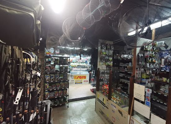 serbia/subotica/shop/hobby