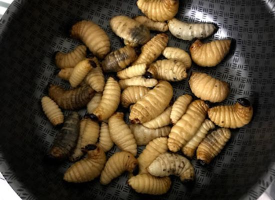 guinea/mount-nimba-strict-nature-reserve/shop/yekepa-supermarket