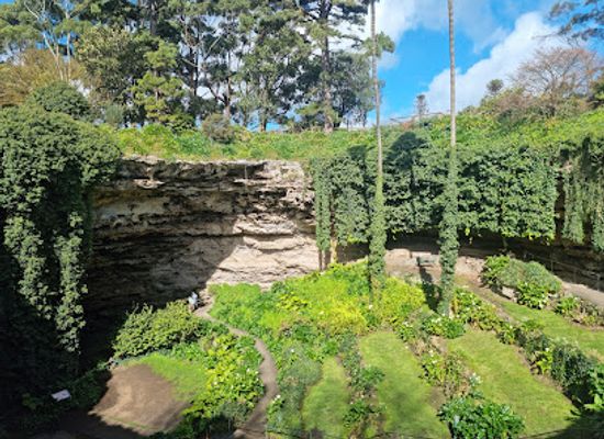 australia/limestone-coast/shop/umpherston-sinkhole-balumbul