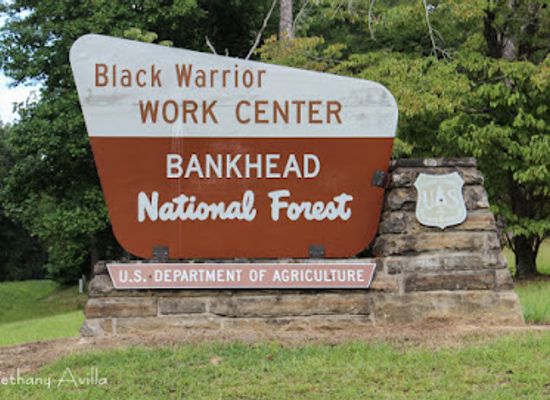 alabama/bankhead-national-forest/shop/bankhead-ranger-district