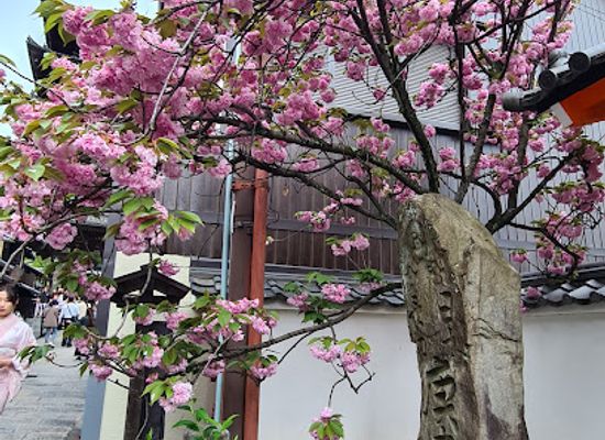 japan/kyoto/higashiyama/shop/hashiya-kaede