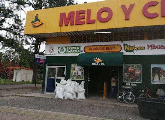 panama/el-valle-de-anton/shop/melo-el-valle