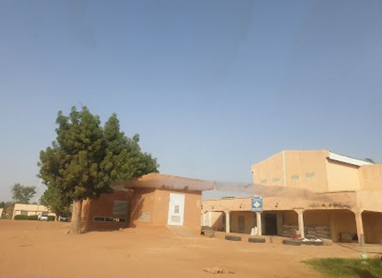 niger/tillaberi-region/shop/riz-du-niger
