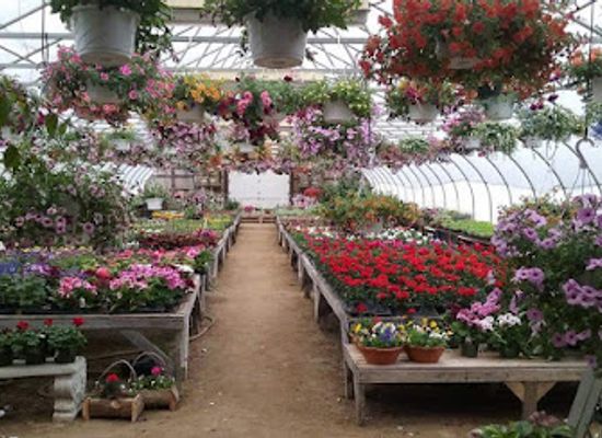 maine/mount-katahdin/shop/jandreau-s-greenhouse