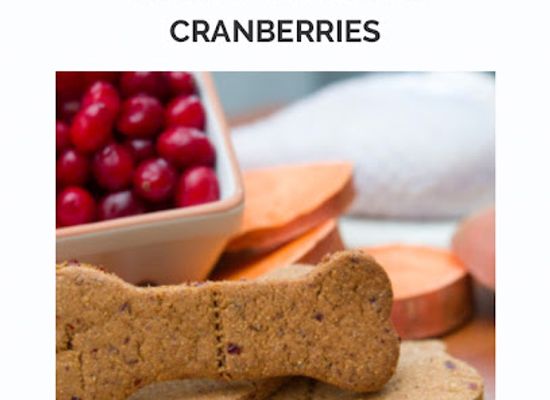 florida/everglades-national-park/shop/my-pets-love-it-fresh-natural-organic-dog-treats-in-miami