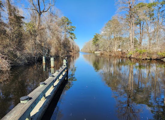 virginia/great-dismal-swamp-national-wildlife-refuge/shop/dismal-swamp-state-park