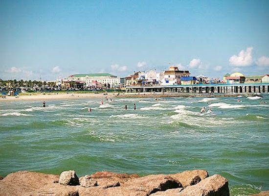 mexico/gulf-coast/shop/dolphin-world-inc