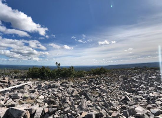 finland/pyha-luosto-national-park/shop/pyha-luoston-matkailuyhdistys-ry