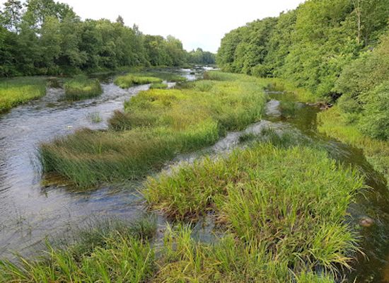 estonia/soomaa-national-park/shop/soomaa-rahvuspargi-keskus