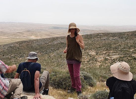 israel/judean-desert/shop/yonat-midbar-bait-melacha-ve-sidnaot-le-rochachot-tivait-ve-mesoratit