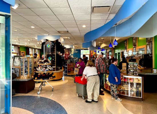 new-york/greater-niagara/shop/maid-of-the-mist-store