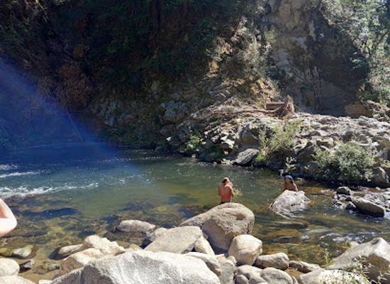 california/silicon-valley/shop/garden-of-eden-henry-cowell-redwood-state-park