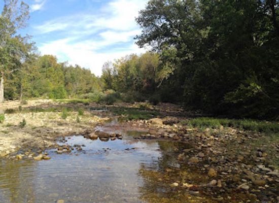 arkansas/ozark-national-forest/shop/rivendell-gardens