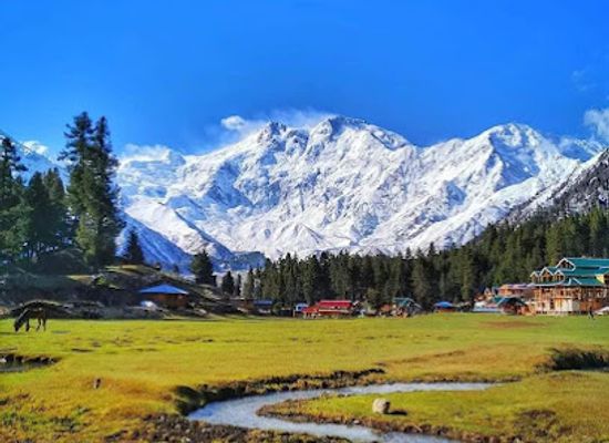 pakistan/fairy-meadows/shop/fairy-meadows