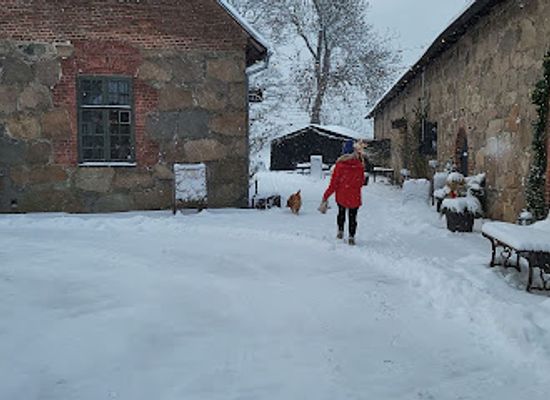 norway/fredrikstad/gamlebyen/shop/gamlebyens-julehus