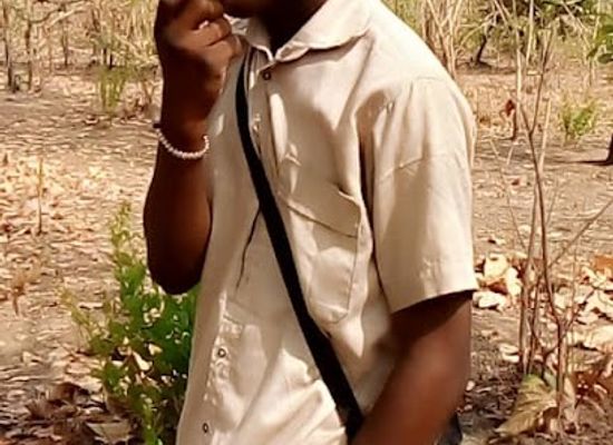 togo/fazao-malfakassa-national-park/shop/marche-de-djarkpanga