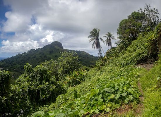 micronesia/mortlock-islands/shop/japanese-gun