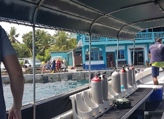 palau/helen-reef/shop/fish-n-fins-palau