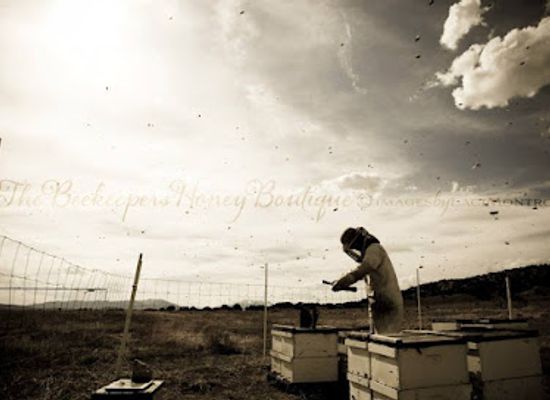 colorado/salida/shop/the-beekeeper-s-honey-boutique