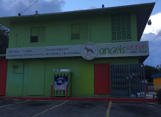 puerto-rico/arecibo/shop/angel-s-pet-shop-arecibo