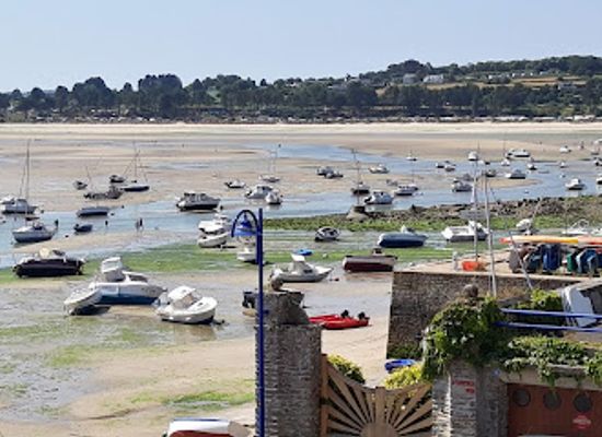 france/brittany-coast/shop/lili-sur-la-falaise