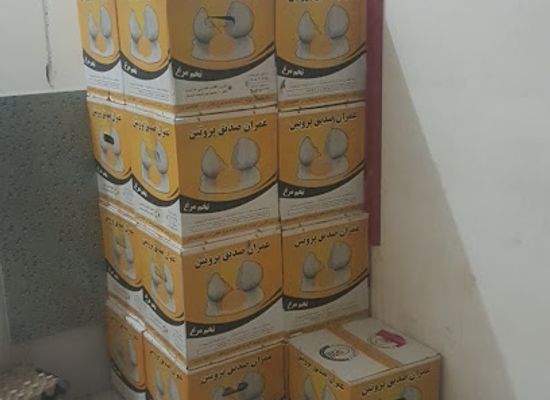 afghanistan/daykundi/shop/kandahar-eggs-farm