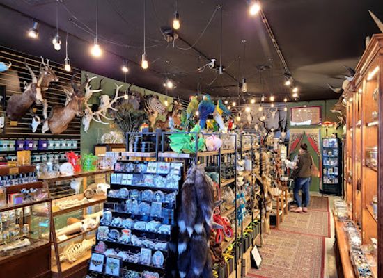 arizona/white-mountains/shop/curious-nature