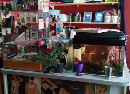 argentina/mendoza/godoy-cruz/shop/bellaflor