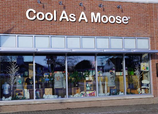 maine/knox-county/shop/cool-as-a-moose-brunswick