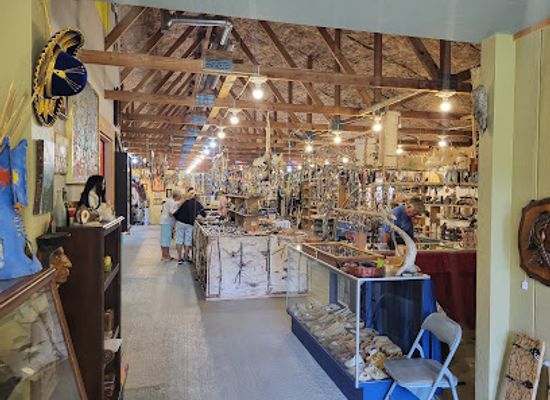 michigan/lower-peninsula/shop/the-historic-totem-village