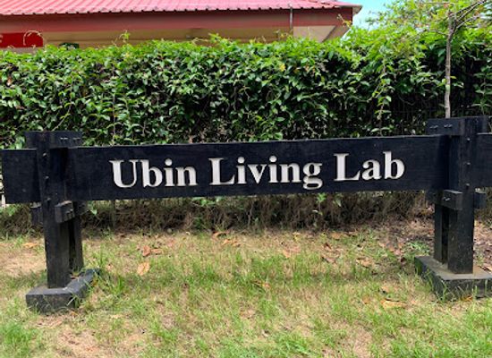 singapore/pulau-ubin/shop/ubin-living-lab