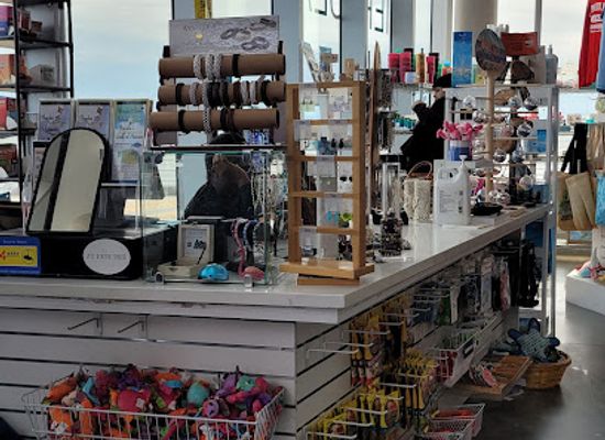florida/st-petersburg/shop/pier-gear-gifts