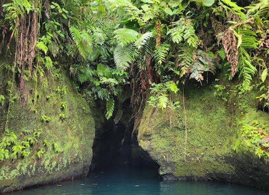 dominica/saint-mark/shop/titou-gorge
