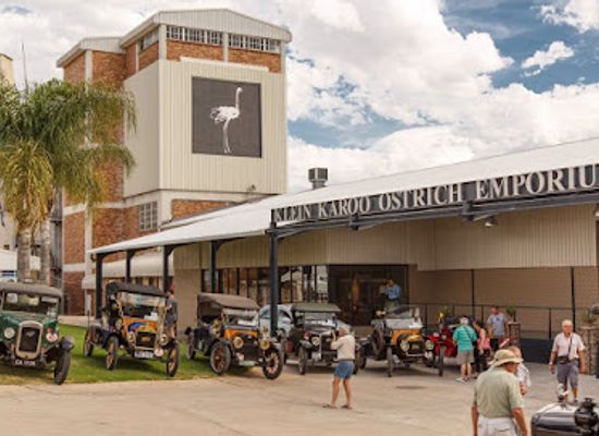 south-africa/little-karoo/shop/cape-karoo-ostrich-emporium