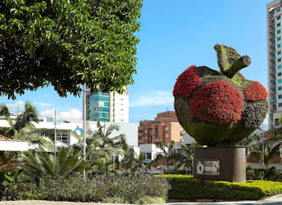 colombia/choco-biogeographic-region/shop/oviedo
