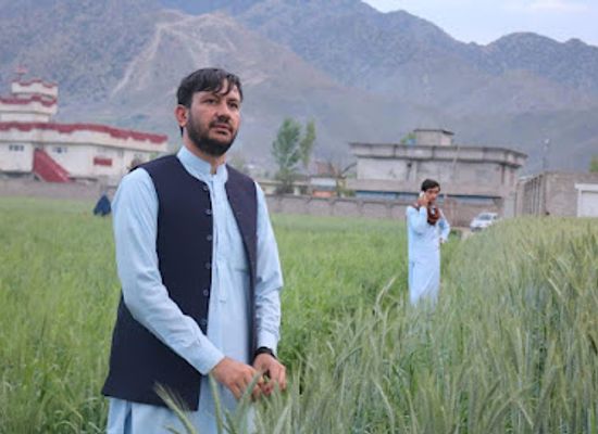 afghanistan/kunar/shop/amir-hassan