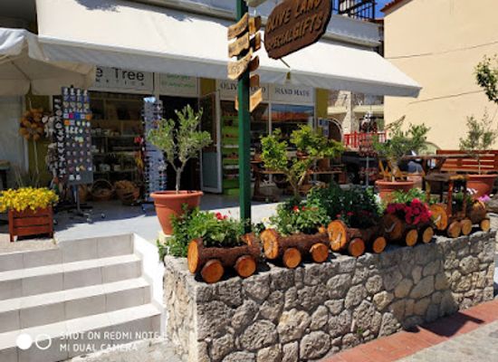 greece/chalkidiki/shop/olive-tree-products-traditional-products-of-greece