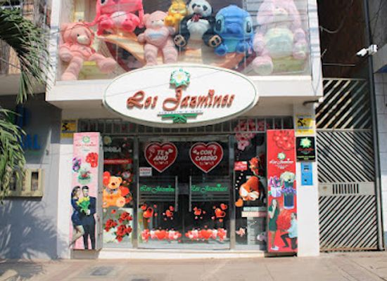peru/ucayali/shop/floreria-los-jazmines-eirl