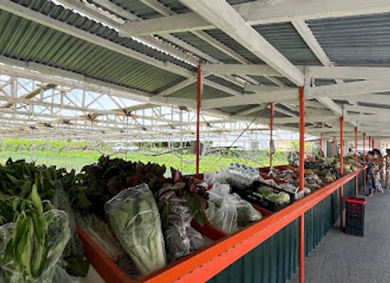 seychelles/baie-lazare/shop/fruits-and-vegetables-market-bazar