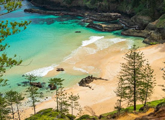 norfolk-island/mount-pitt/shop/norfolk-island-real-estate