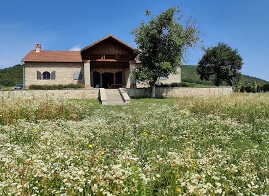hungary/tokaj-wine-region/shop/bott-pince